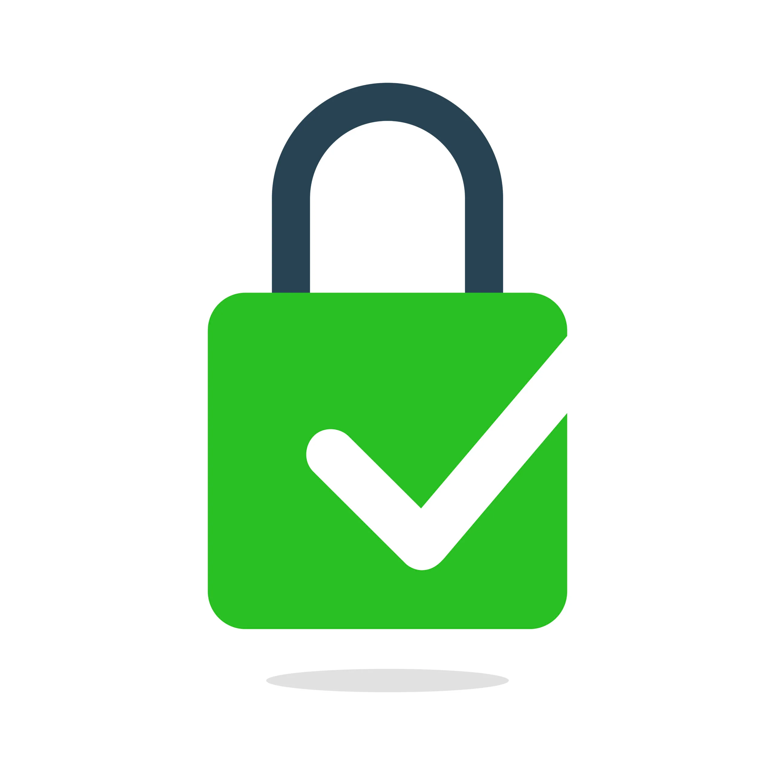 Secure Payment
